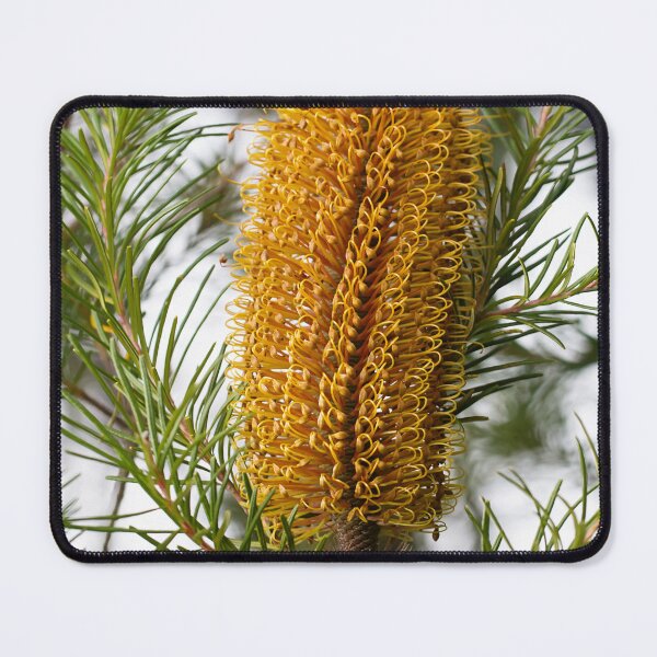 Item preview, Western Australian Banksia designed and sold by Life Images by Jill .