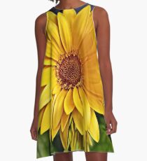 Looking into the Sun A-Line Dress