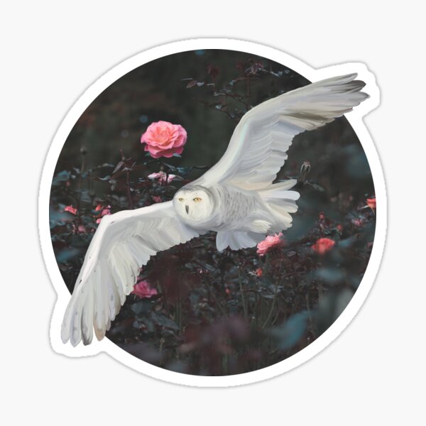 Witchy Mystical Barn Owl and Roses Sticker
