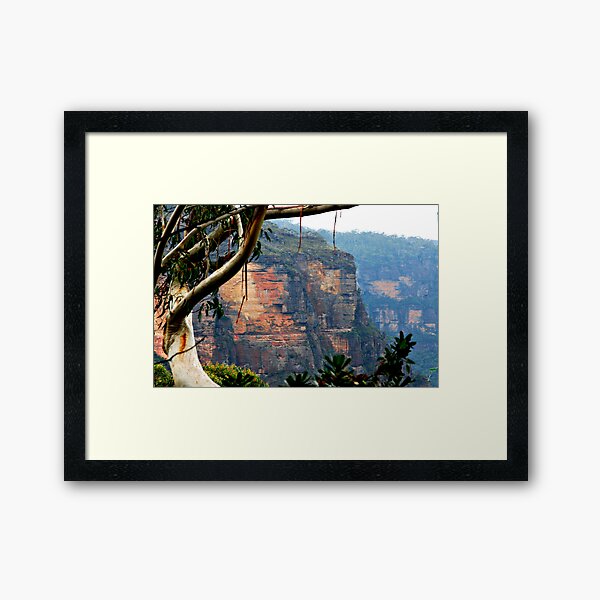 Blue Mountains NSW Australia Framed Art Print