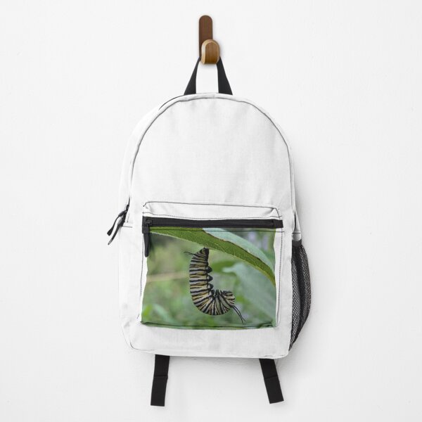 Item preview, Monarch Caterpillar about to metamorphose designed and sold by Bug Shots.
