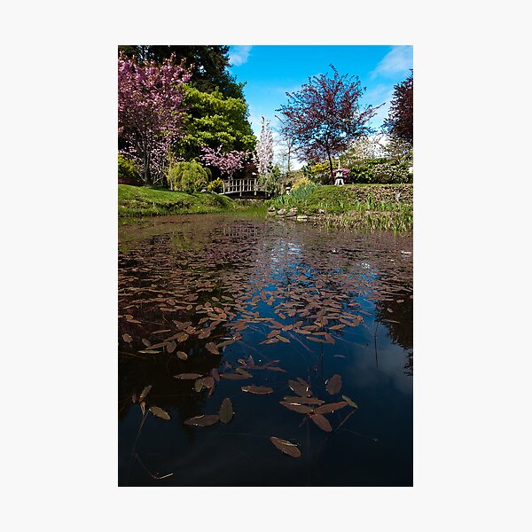 Japanese Gardens, Mayne Island, BC Photographic Print