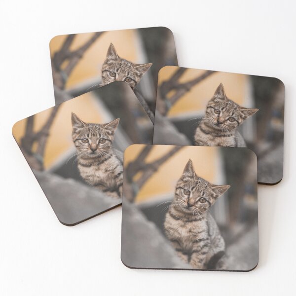Item preview, Curious Kitten | Cute Cat on the Wall designed and sold by PhotosByVille.