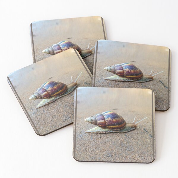 Item preview, Cute snail designed and sold by Wolagno.