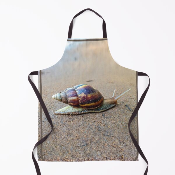 Item preview, Cute snail designed and sold by Wolagno.