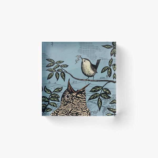 Item preview, Wren and Cuckoo Illustration designed and sold by Hadrianwild.