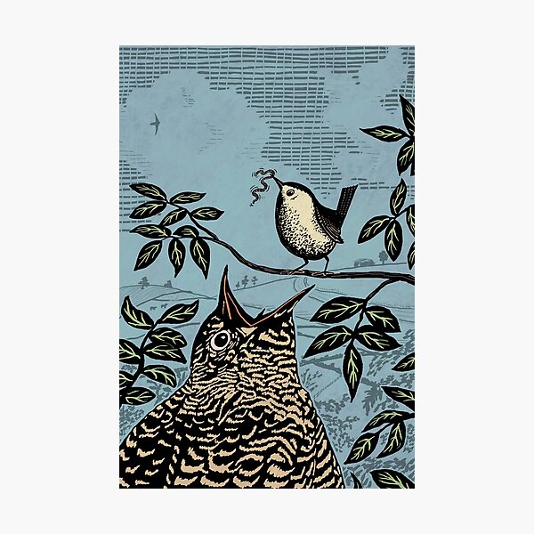 Item preview, Wren and Cuckoo Illustration designed and sold by Hadrianwild.