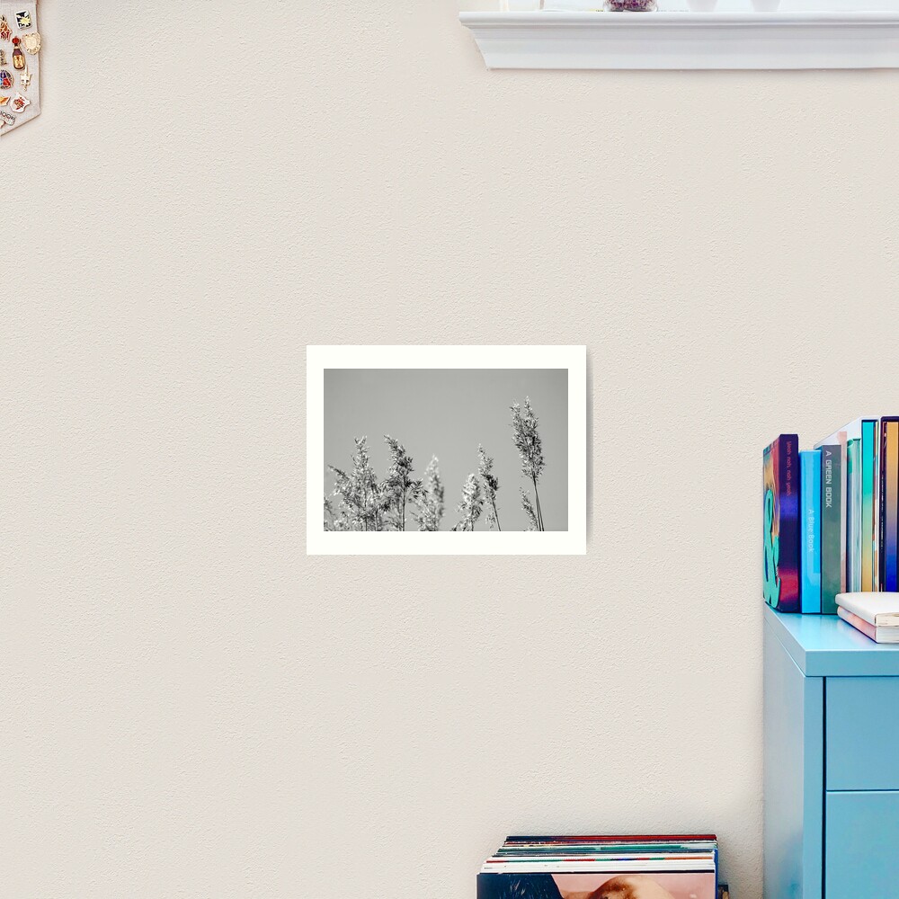 Black&White reed Art Print