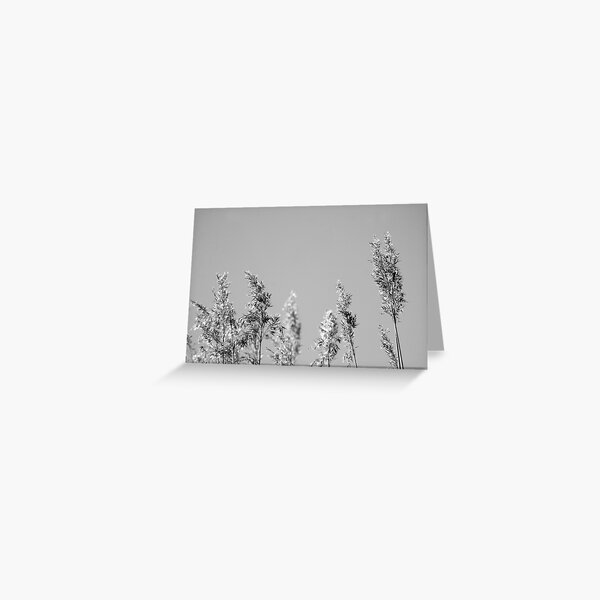 Black&White reed Greeting Card