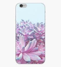 Sweet Succulents iPhone Case