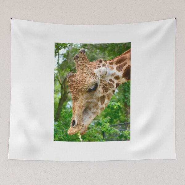 Aperçu de l'œuvre Portrait de girafe créée et vendue par MercerImages.