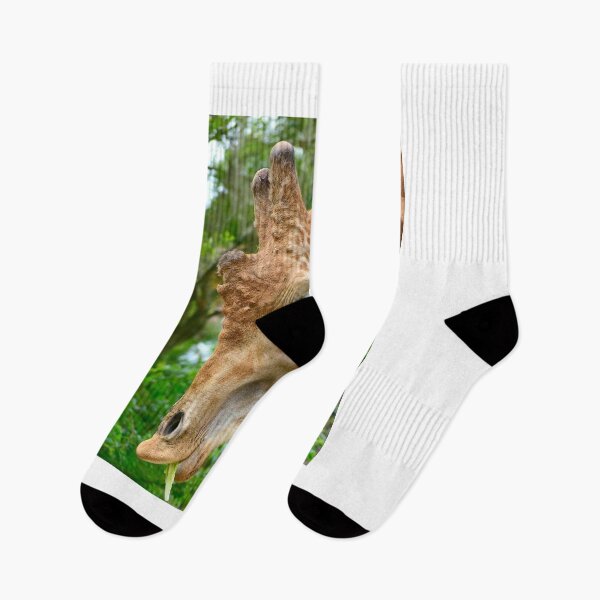 Item preview, Giraffe Headshot designed and sold by MercerImages.
