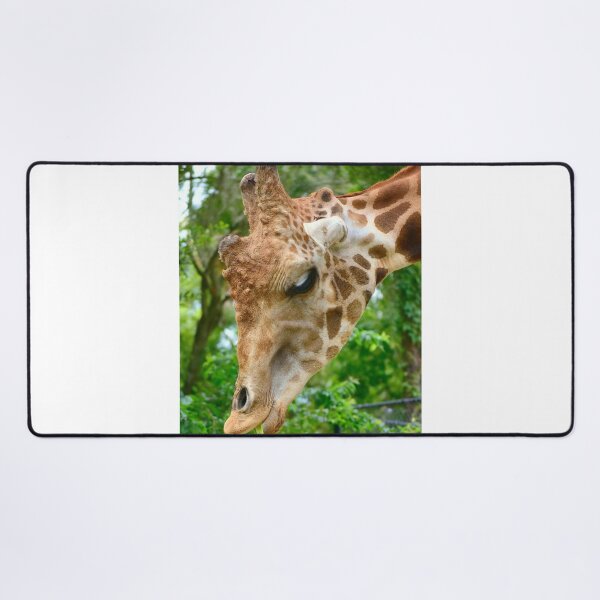 Item preview, Giraffe Headshot designed and sold by MercerImages.
