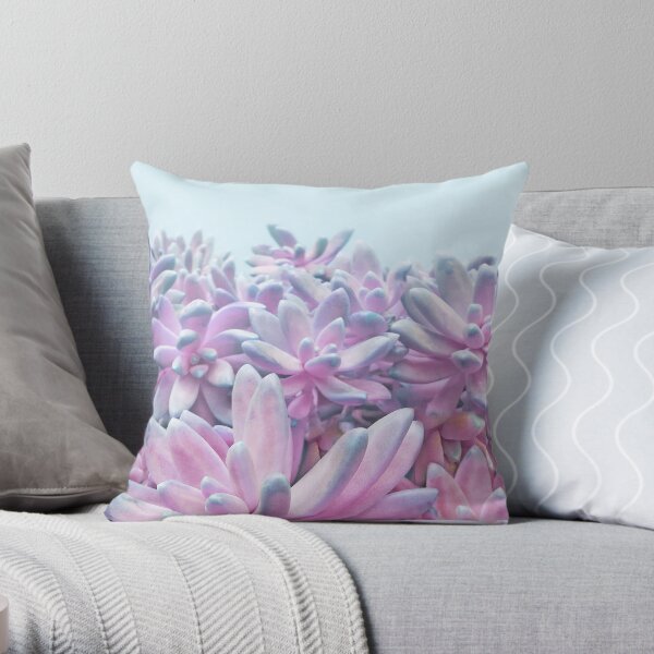 Sweet Succulents Throw Pillow