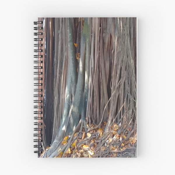 Item preview, Landscape and nature, old tree 16 designed and sold by FORYOUOFFICIAL.