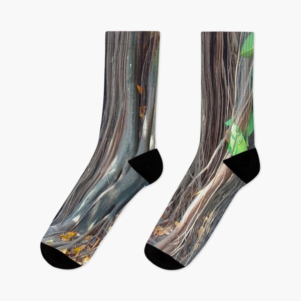 Item preview, Landscape and nature, old tree 16 designed and sold by FORYOUOFFICIAL.