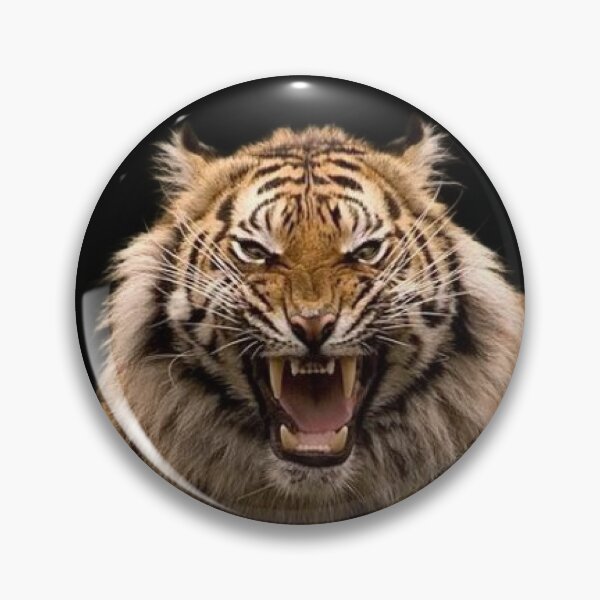 Item preview,  BIG ANGRY CATS designed and sold by THE AMERICAN TEEVANGELIST.