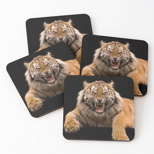 Item preview,  BIG ANGRY CATS designed and sold by THE AMERICAN TEEVANGELIST.