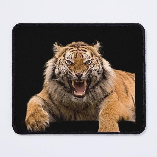 Item preview,  BIG ANGRY CATS designed and sold by THE AMERICAN TEEVANGELIST.