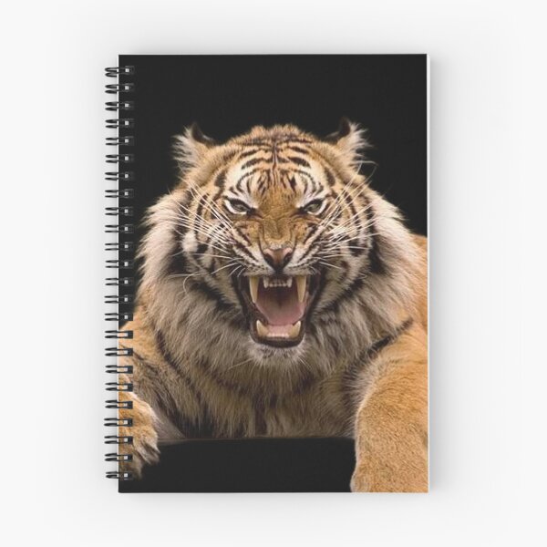Item preview,  BIG ANGRY CATS designed and sold by THE AMERICAN TEEVANGELIST.