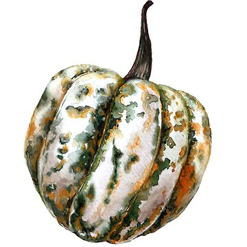 Artwork thumbnail, Pumpkin by stasia-ch