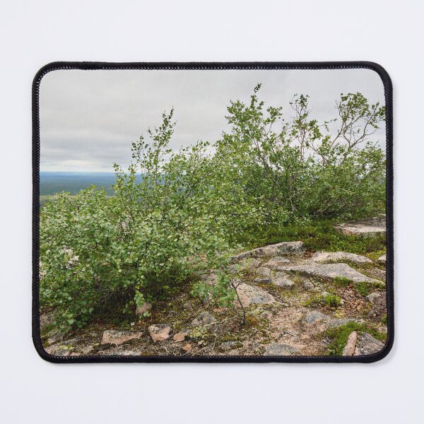 Item preview, Mountain birches. Pyha Nattanen 21 designed and sold by Jouko Lehto Photography.