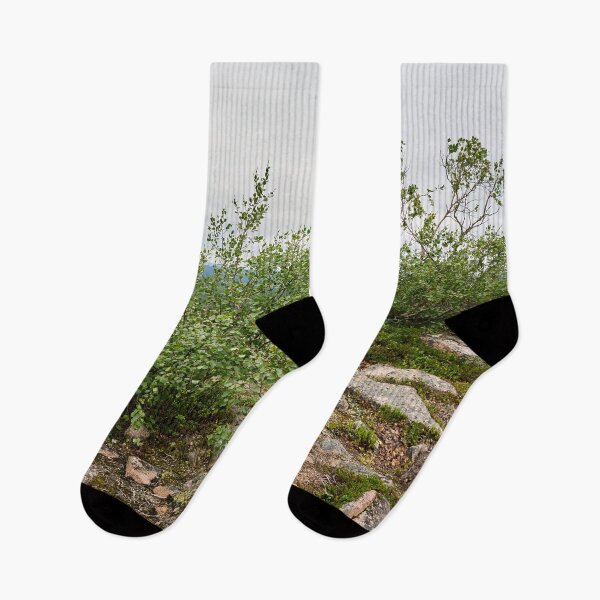 Item preview, Mountain birches. Pyha Nattanen 21 designed and sold by Jouko Lehto Photography.