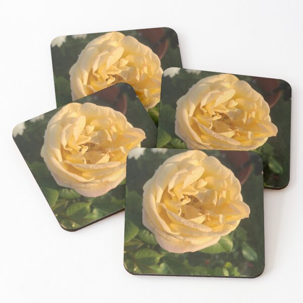 Item preview, Yellow rose designed and sold by SaltyMonster.