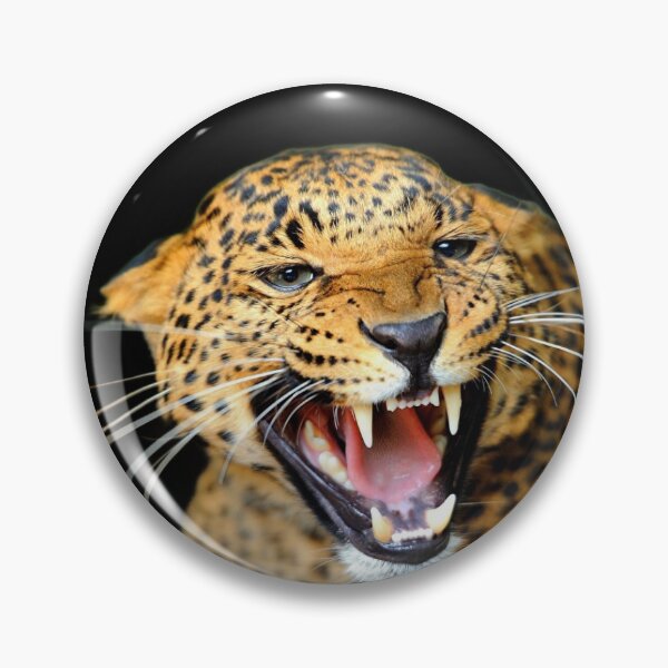 Item preview, BIG ANGRY CATS designed and sold by THE AMERICAN TEEVANGELIST.