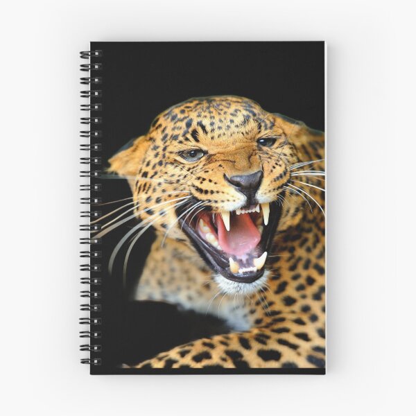 Item preview, BIG ANGRY CATS designed and sold by THE AMERICAN TEEVANGELIST.