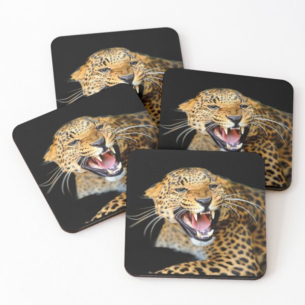 Item preview, BIG ANGRY CATS designed and sold by THE AMERICAN TEEVANGELIST.