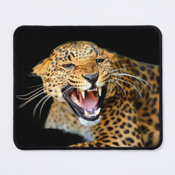 Item preview, BIG ANGRY CATS designed and sold by THE AMERICAN TEEVANGELIST.