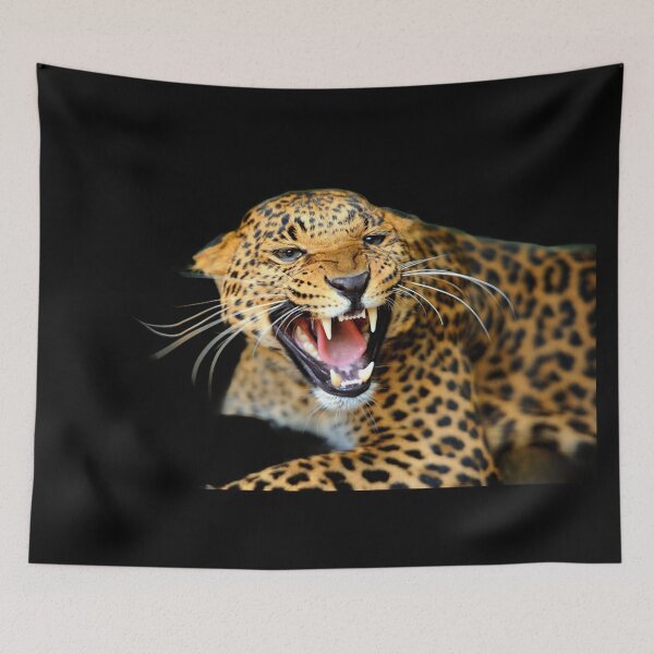 Item preview, BIG ANGRY CATS designed and sold by THE AMERICAN TEEVANGELIST.