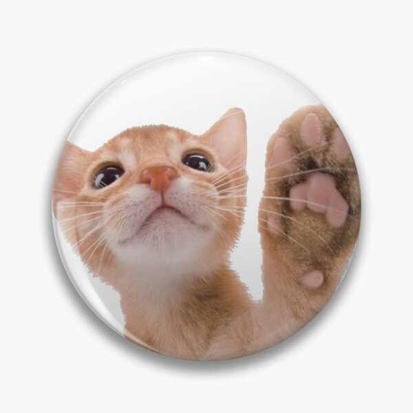 Item preview, go kitty go!! ☆ designed and sold by p4ndas.