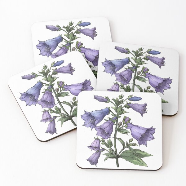 Item preview, Blue Bellflower Botanical Illustration designed and sold by Artcurrents.