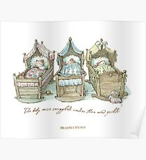 The Brambly Hedge baby mice snuggle in their cots Poster
