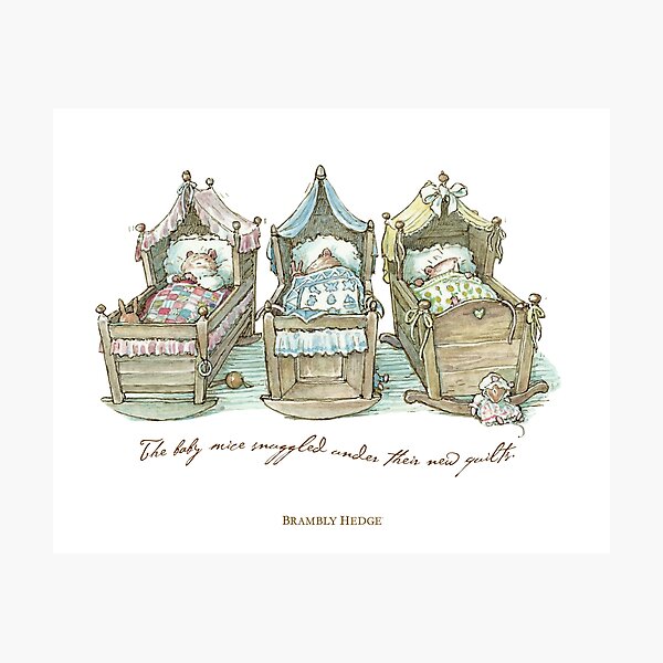 The Brambly Hedge baby mice snuggle in their cots Photographic Print