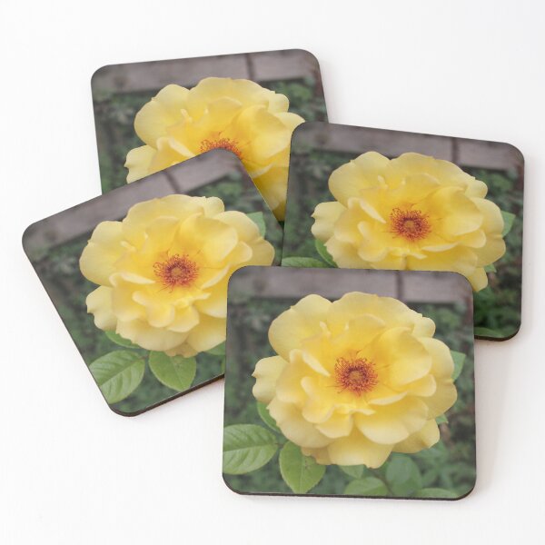Item preview, Yellow Rose designed and sold by Vicki Spindler (VHS Photography).