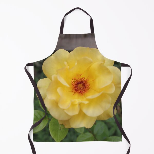 Item preview, Yellow Rose designed and sold by Vicki Spindler (VHS Photography).