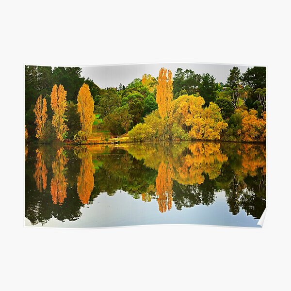 1773 Autumn reflection Poster