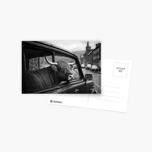 Item preview, Highland Cow Riding in a Car, Funny Vintage Photo designed and sold by CheekyAnimalz.