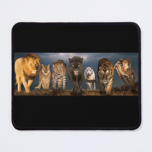 Item preview, BIG ANGRY CATS designed and sold by THE AMERICAN TEEVANGELIST.