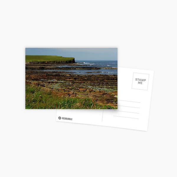 LINED ROCKS Postcard