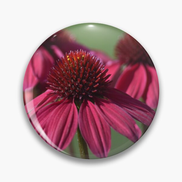Artikelvorschau, Rudbeckia – rote Spätsommerblüten entworfen und verkauft von CatherineMoore4.