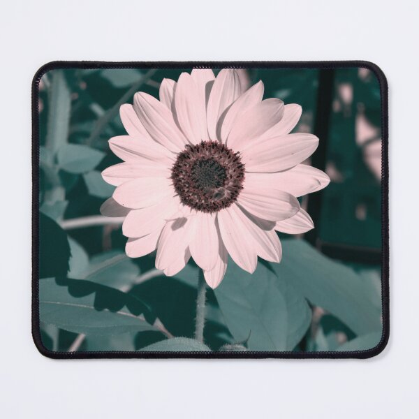 Item preview, Sunflower and bee in infrared designed and sold by Cblifeisgood.