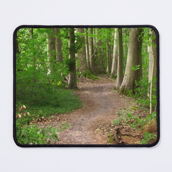 Item preview, Winding Path designed and sold by Christine Lake.