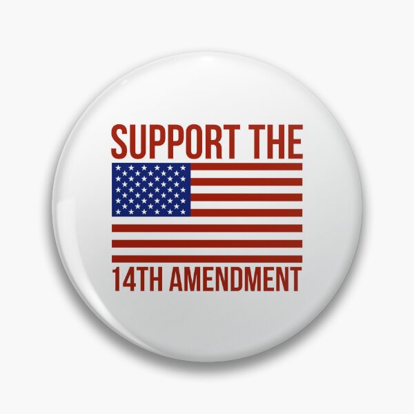 Item preview, Support the 14th amendment  designed and sold by Rachel the Artist .