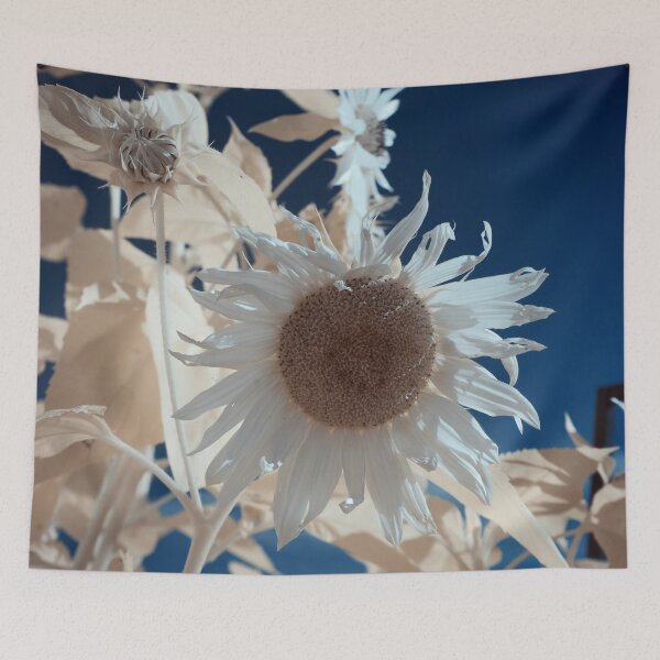 Item preview, Sunflowers in IR designed and sold by Cblifeisgood.