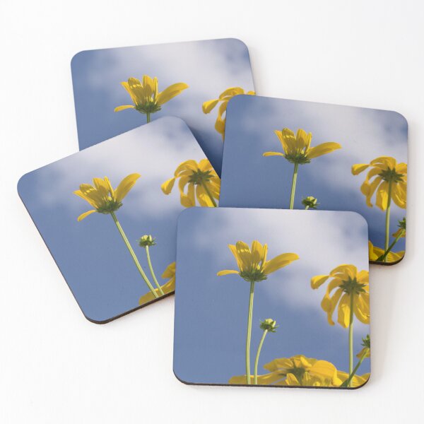 Item preview, Coneflowers from low angle  designed and sold by Cblifeisgood.