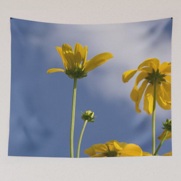 Item preview, Coneflowers from low angle  designed and sold by Cblifeisgood.